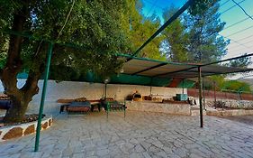 Oak Farm مزرعة الملّول