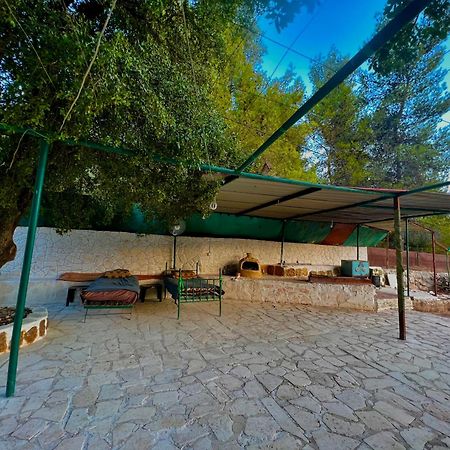 Maison d'hôtes Oak Farm مزرعة الملّول à ‘Ajlūn Extérieur photo