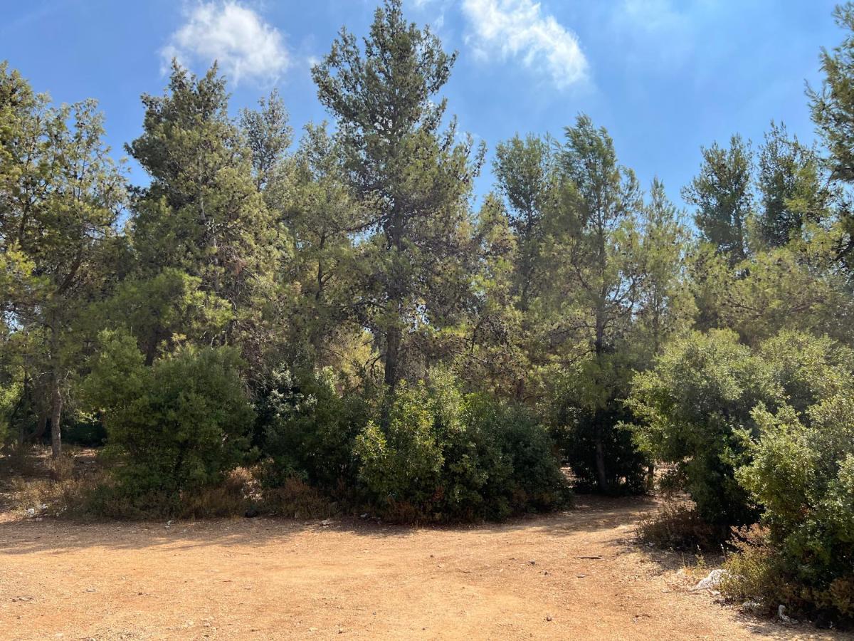 Maison d'hôtes Oak Farm مزرعة الملّول à ‘Ajlūn Extérieur photo