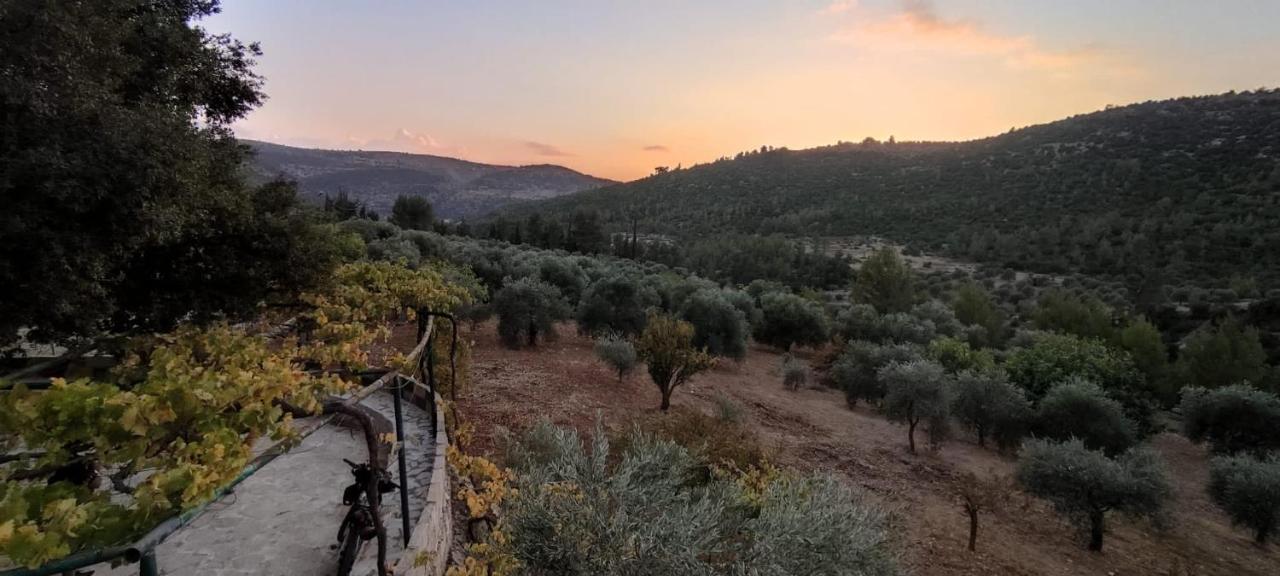 Maison d'hôtes Oak Farm مزرعة الملّول à ‘Ajlūn Extérieur photo