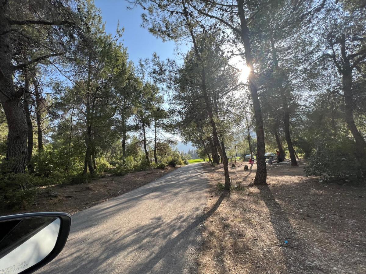 Maison d'hôtes Oak Farm مزرعة الملّول à ‘Ajlūn Extérieur photo