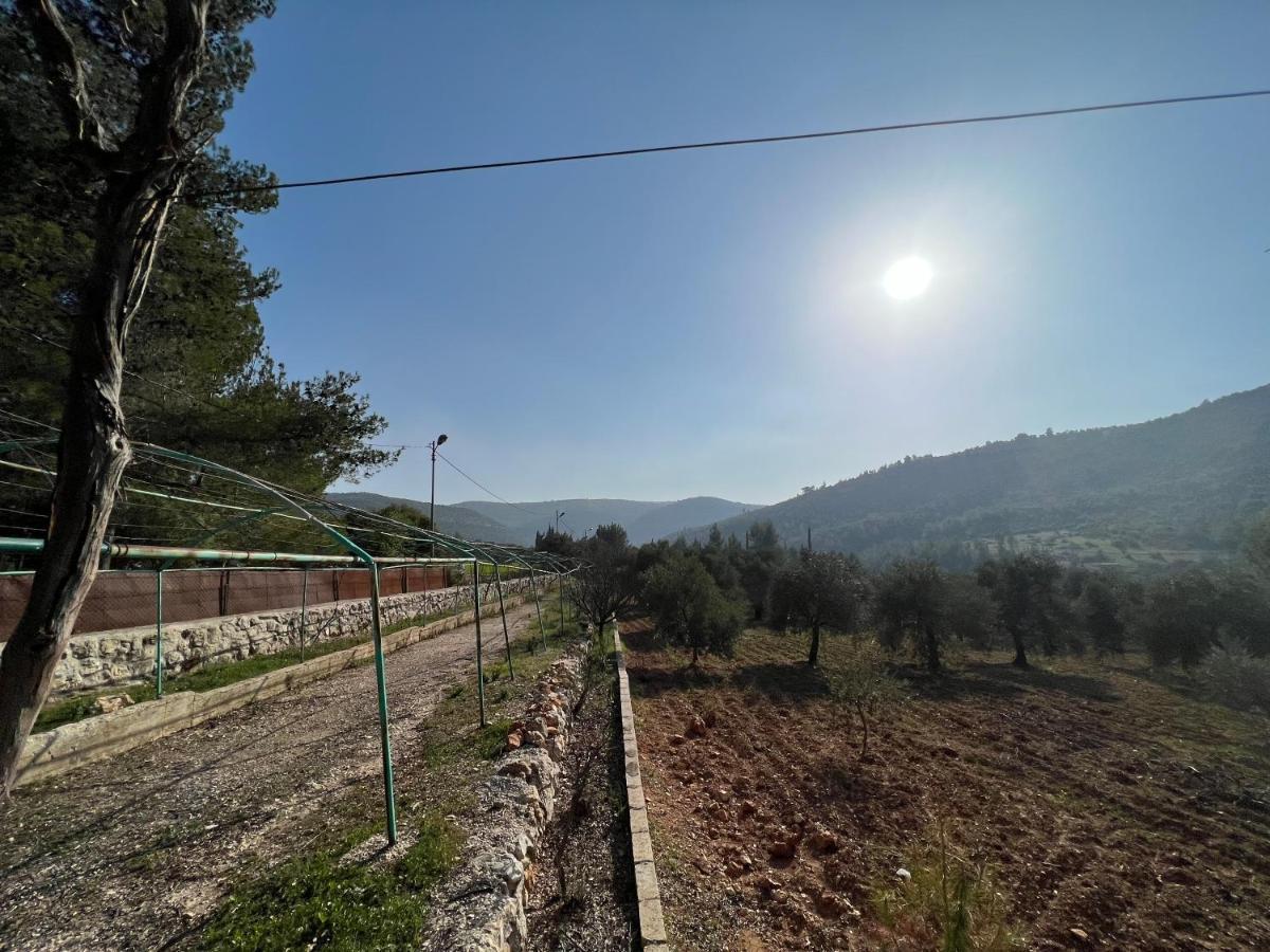 Maison d'hôtes Oak Farm مزرعة الملّول à ‘Ajlūn Extérieur photo