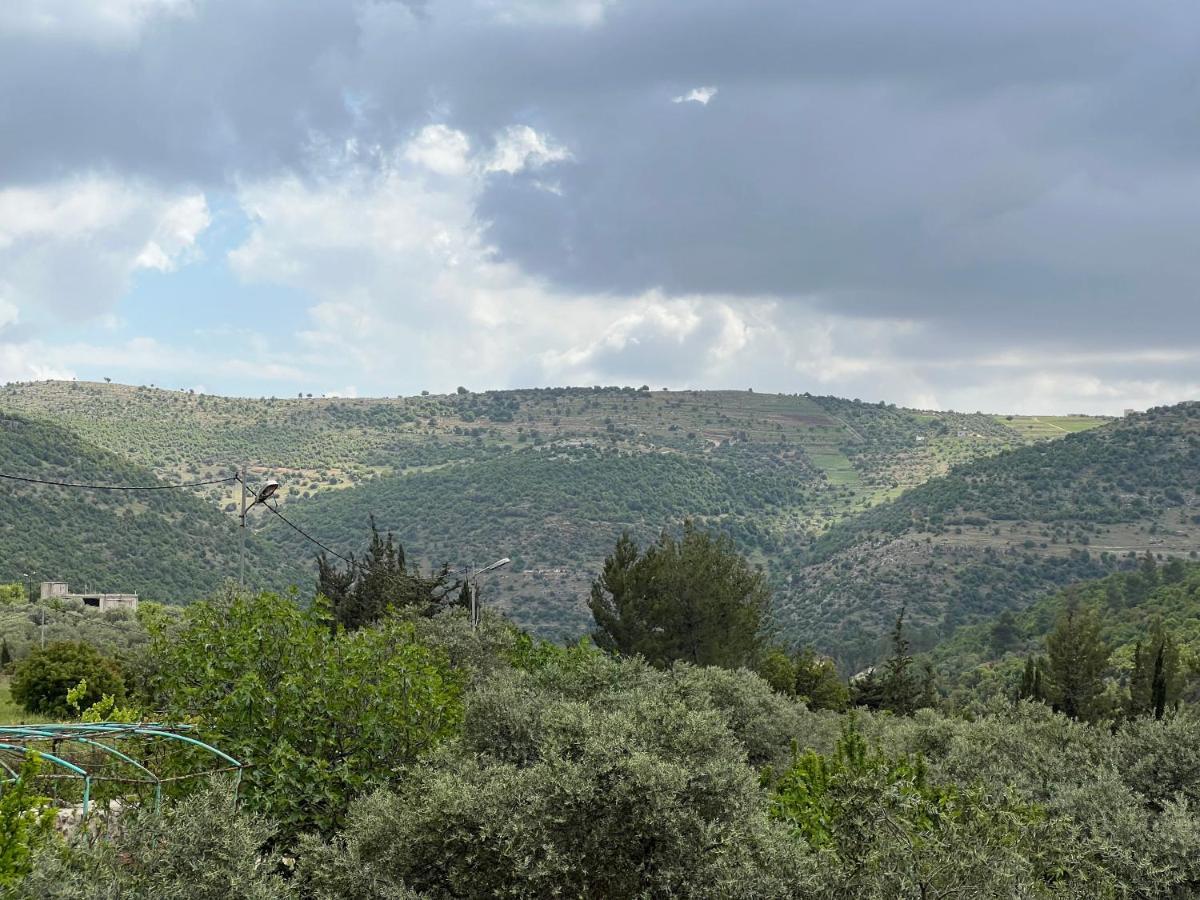 Maison d'hôtes Oak Farm مزرعة الملّول à ‘Ajlūn Extérieur photo
