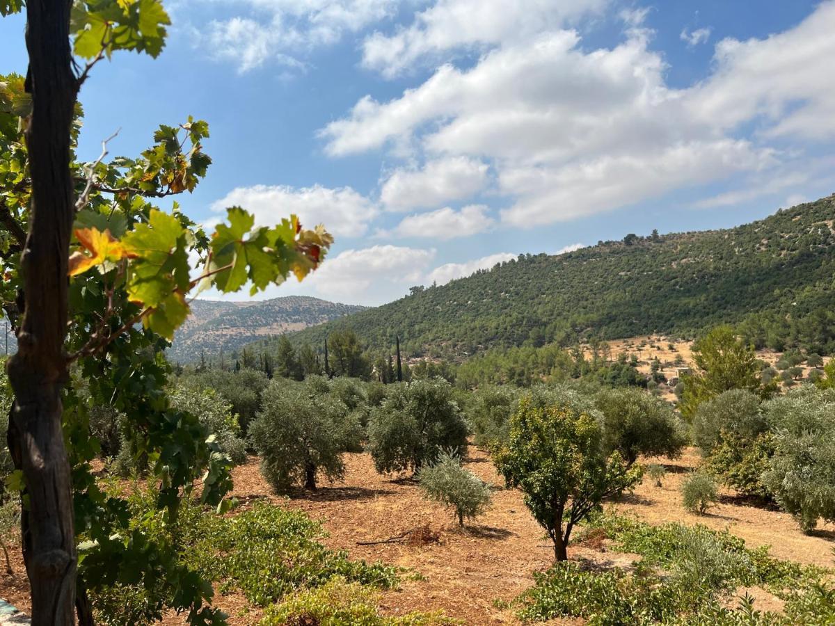 Maison d'hôtes Oak Farm مزرعة الملّول à ‘Ajlūn Extérieur photo