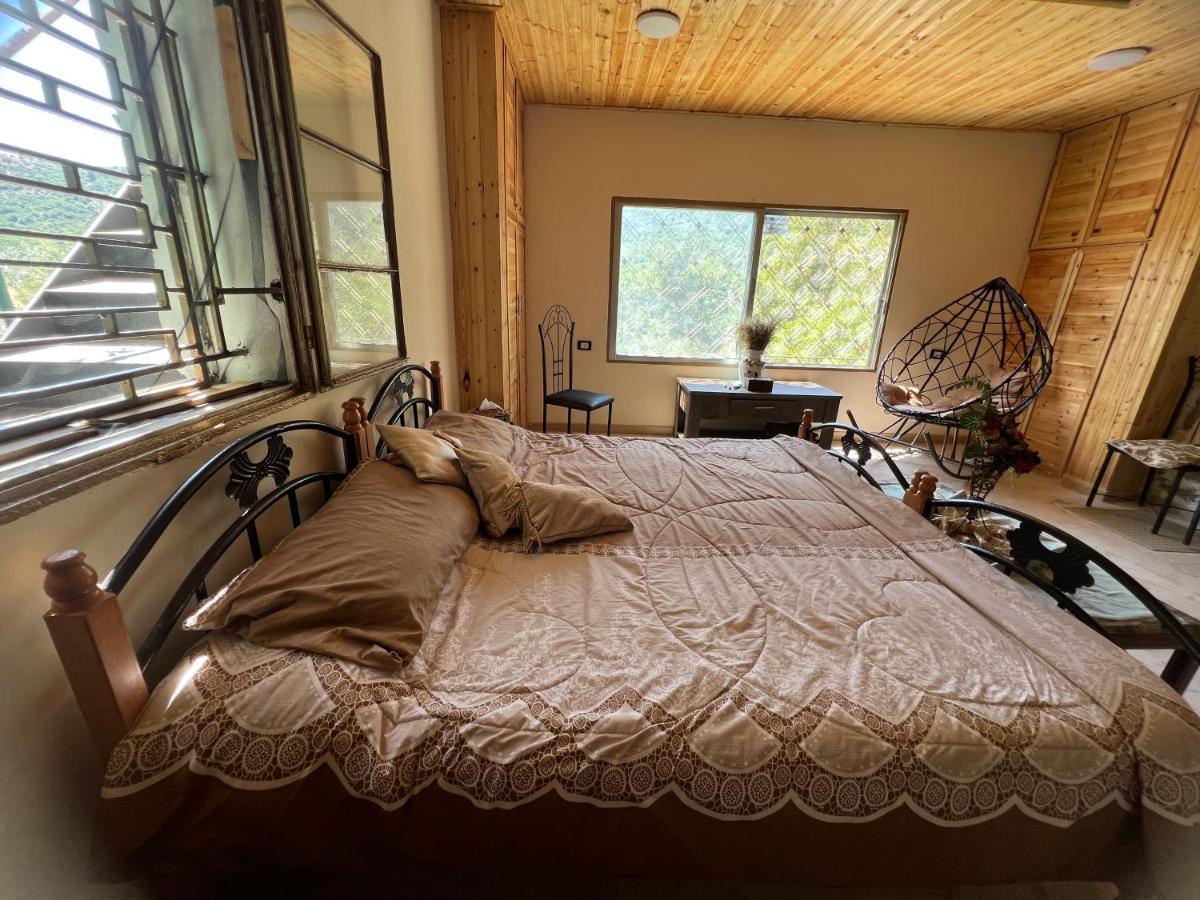 Maison d'hôtes Oak Farm مزرعة الملّول à ‘Ajlūn Extérieur photo