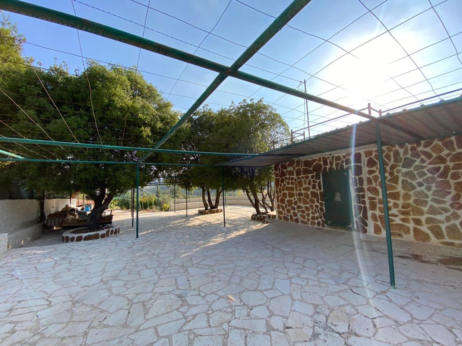 Maison d'hôtes Oak Farm مزرعة الملّول à ‘Ajlūn Extérieur photo