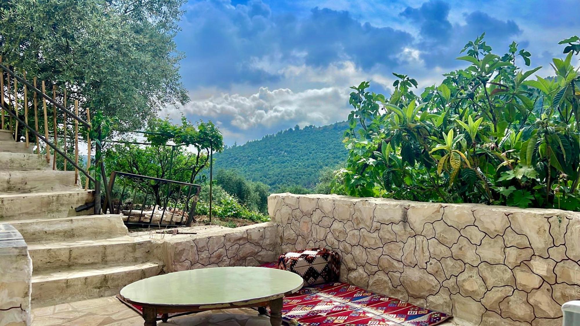 Maison d'hôtes Oak Farm مزرعة الملّول à ‘Ajlūn Extérieur photo